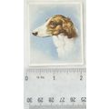 1939 Godfrey Phillips Our Dogs No. 13 The Borzo