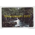 FAIRY GLEN, Bettws-Y-Goed, WALES, 1900s, Postcard