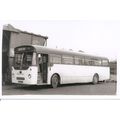 Black & White Photograph of Edward's Coaches of...