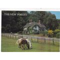 New Forest Cottage and Ponies Postcard unused c...