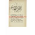 Taurinya & Canigou, Catalan France, Book Illust...