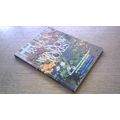 Patios & Window Boxes. (Paperback)