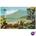 Loch Bhuie & Ben Shuie, Isle of Mull 1975 postcard