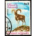 Pakistan 1975 Animals 3Rs Used Stamp Sheep