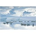 Frimerkjasalan: Seals at Jokulsarion.