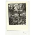 WALK IN THE WOODS (Dennis Mansell) Athena Postc...