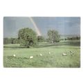 AFTER THE RAIN..Rainbow and Sheep used postcard...