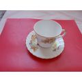 DORCHESTER CHINA X 1 TEA CUP WITH SAUCER (14/10)