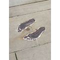 Antony Gormley Plant Footprints London Royal Ac...