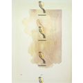 In Golden Light, A Slim & Beautiful Lady (Elain...