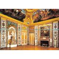 D017786 Versailles. The Diana Drawing Room. Lys