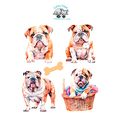 Bulldog Vinyl Stickers-Scrapbooking Journal & C...