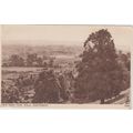 View From Pine Walk Shaftesbury Dorset Postcard (QDOR495)