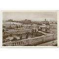 SUPERB R.P. POSTCARD OF THE PALACE PIER BRIGHTO...