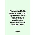 Yu.V. Galyshev, L.E. Magidovich, V.V. Rumyantsev Fuel Problems of Transport Ene