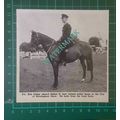 C2655) PC Ken Fisher On Police Horse Sultan II ...