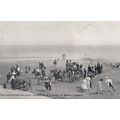 Mablethorpe Skegness Donkeys Pony Seaside Beach...