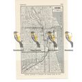 Chicago, Central Districts Map, USA, Book Illus...