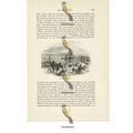 Bethlehem Hospital, London, Book Illustration (...