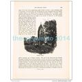 Sompting Church, Sussex, England, Book Illustra...