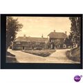 Sussex FITTLEWORTH Swan Hotel Postcard by Frith...