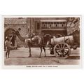 Camel Water Cart Aden Postcard RP B