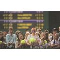 Tennis Autograph Signed Signature Hunters On Ba...