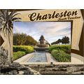 Charleston South Carolina with Palm Tree Laser ...