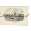 Dardanelles, Bartlett, Book Illustration, c1870