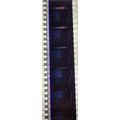 VAMPIRES. Pk MTP - b044r . 1 STRIP OF 5 - 35MM ...