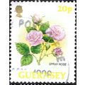 GUERNSEY, FLOWER, Spray Rose, white 1992, 20p