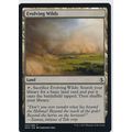 Magic the Gathering MTG Amonkhet 242/269 Evolvi...