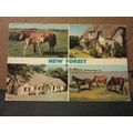 NEW FOREST, multiview. used vintage postcard by...