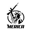 Merica Statue Of Liberty 2nd Amendment Die-Cut ...