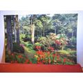 WOODLAND, SUB TROPIC, COMPTON ACRES, Poole, Dor...