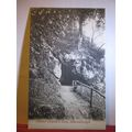 MOTHER SHIPTON & CAVE, KNARESBOROUGH, YORKSHIRE...