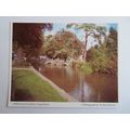 Millennium Gardens, Congresbury, Somerset Postcard