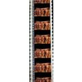 Pk DAU - B - MIX - B 050x . - 1 STRIP OF 5 - 35...