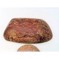 Rhyolite Jasper Freeform Gemstone Cabochon 253