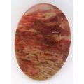 Petrified Wood Freeform Gemstone Cabochon 43