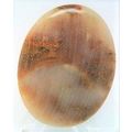 Petrified Wood Freeform Gemstone Cabochon 15
