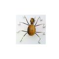 Tiger Eye Spider Stainless Wire Wrap Pin Brooch 13