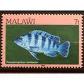 Malawi 1984 7t Lombardo's Mbuna Unmounted Mint ...