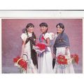 Mexico Typical Costumes Postcard used VGC