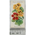 1910 Wills Old English Garden Flowers No. 22 Na...