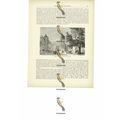 Place Of Old Chateau, Stuttgard, Germany, Book ...
