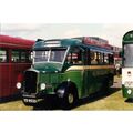 Colour Photo of Southern National Omnibus Co. L...