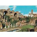 Roma Foro Romano Italy Postcard used VGC