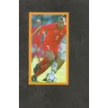 Bassett Sweet Cigarettes 1998 World Cup Heroes ...