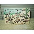 vintage wildlife of the desert postcard unused ...
